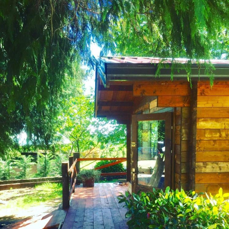 Bilocale In The Farm- Malpensa-Lago Maggiore Varallo Pombia Exteriör bild